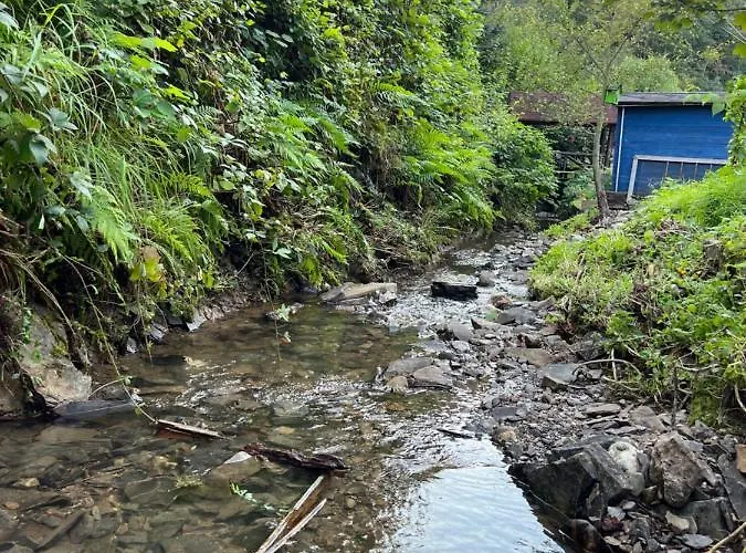 Am Bach Holiday home